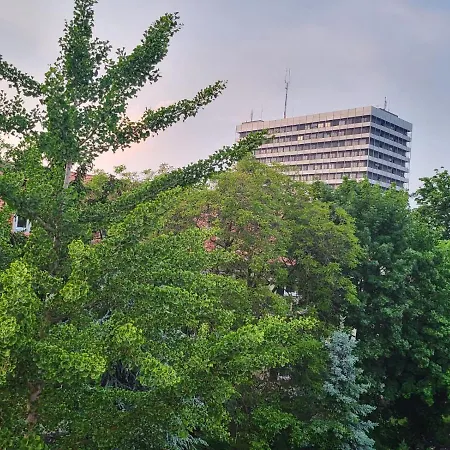 Gemutliches Sehr Zentral - An Der Uniklinik